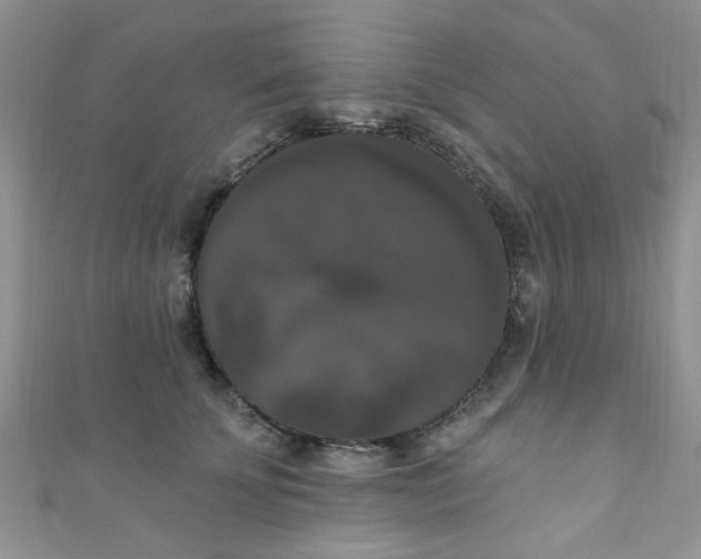 X0000111020707200907022158