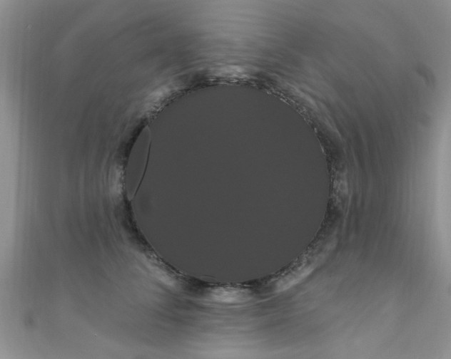 X0000111020708200907022158