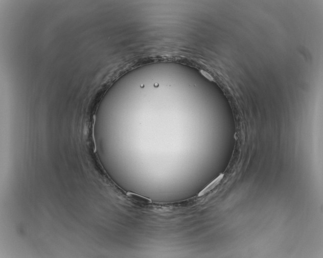X0000111020709200907022158
