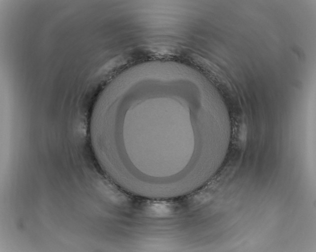 X0000111020710200907022158