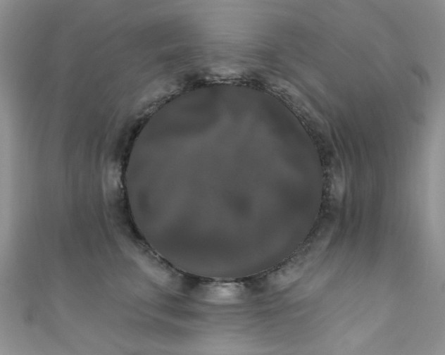 X0000111020711200907022158