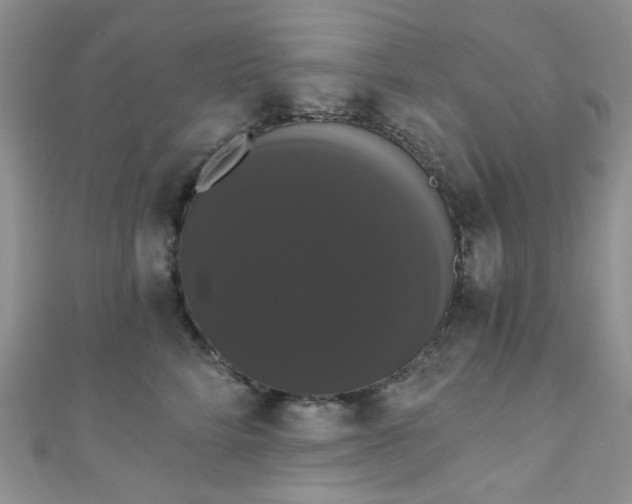 X0000111020712200907022158