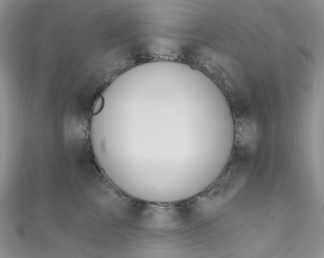 X0000111020713200907022158