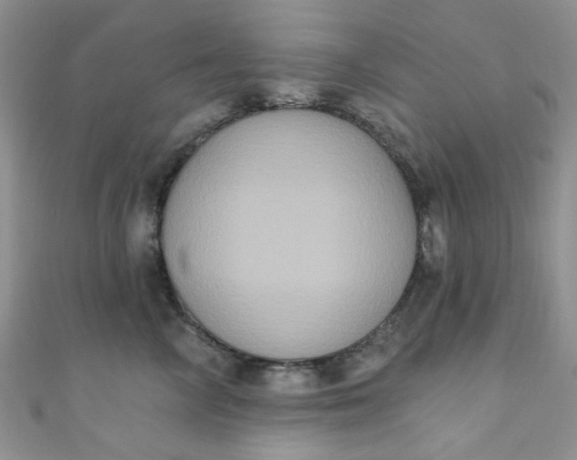 X0000111020714200907022158