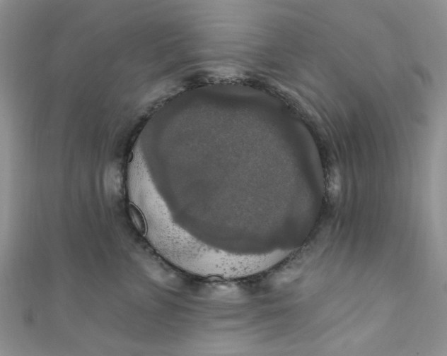 X0000111020715200907022158