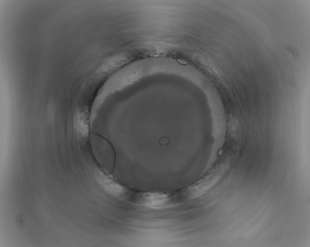X0000111020719200907022158