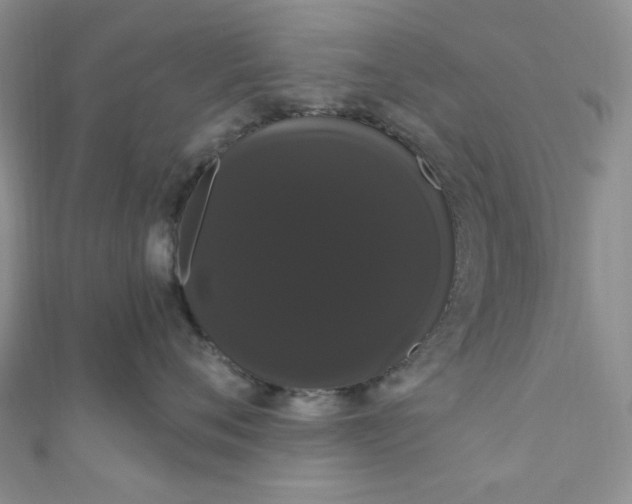 X0000111020720200907022158