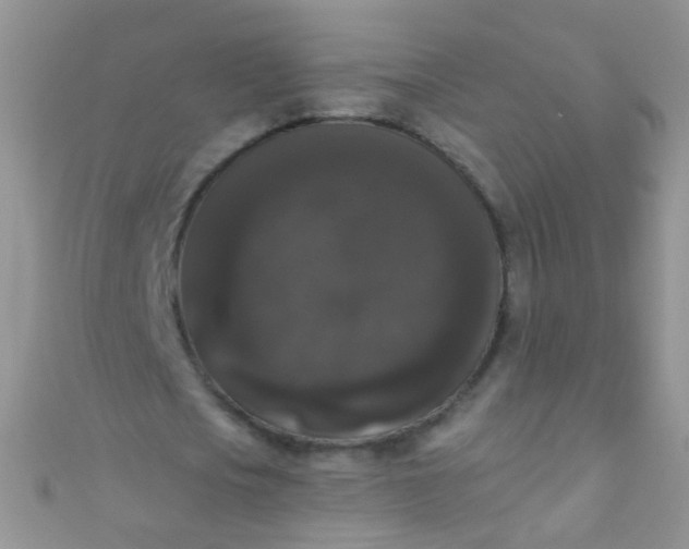 X0000111020721200907022158