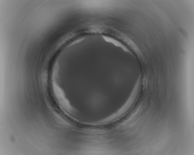 X0000111020722200907022158