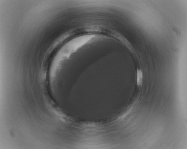 X0000111020723200907022158