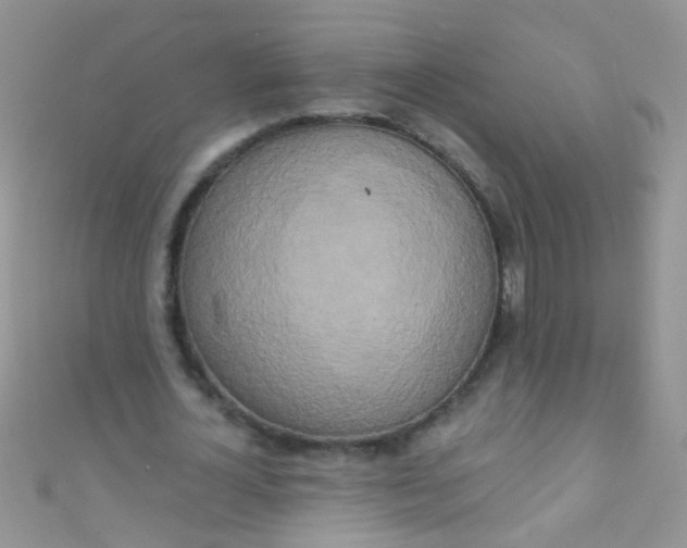 X0000111020724200907022158