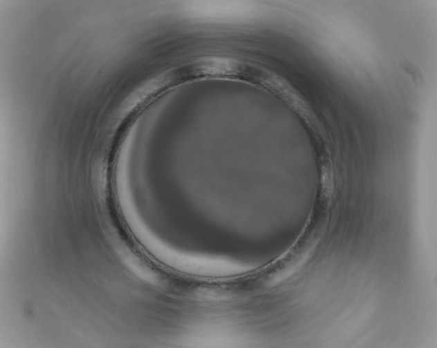 X0000111020725200907022158