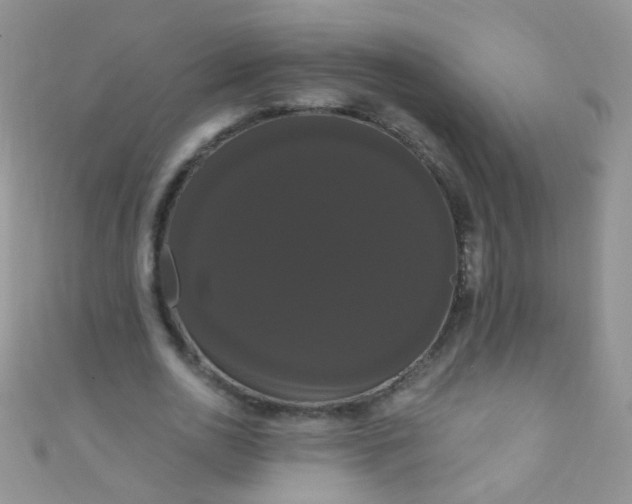 X0000111020726200907022158