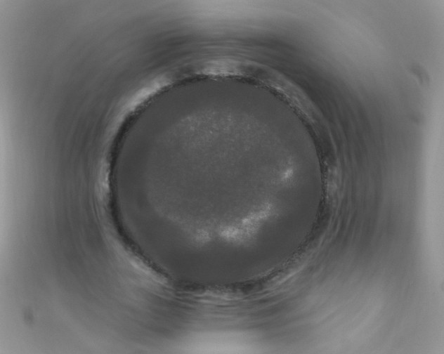 X0000111020727200907022158