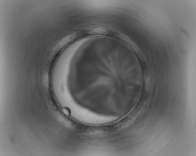 X0000111020729200907022158