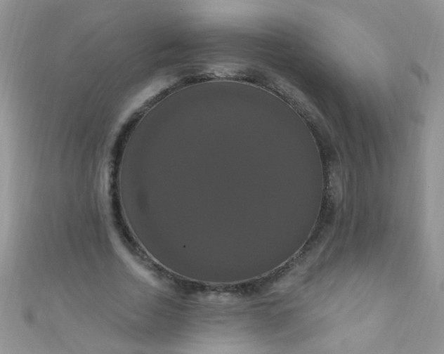 X0000111020730200907022158
