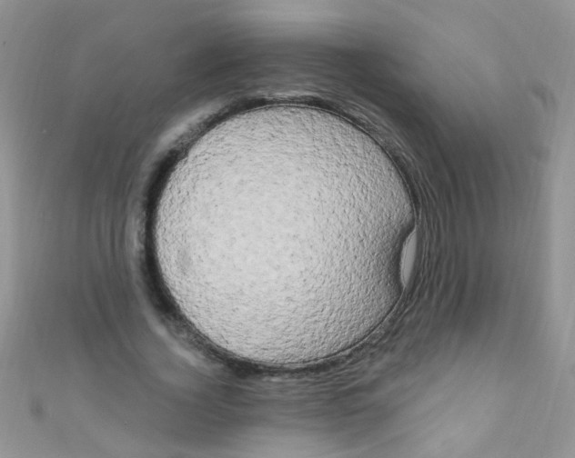X0000111020732200907022158