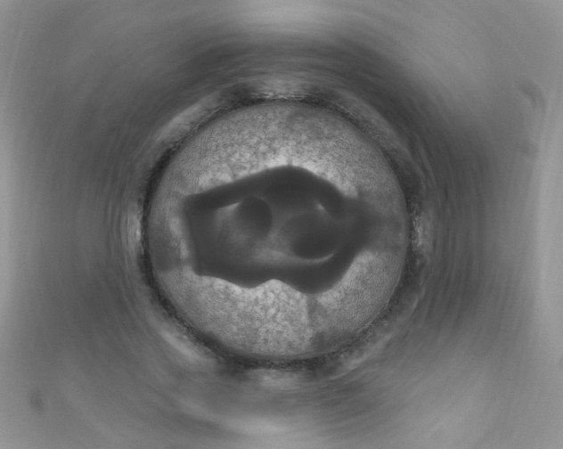 X0000111020733200907022158