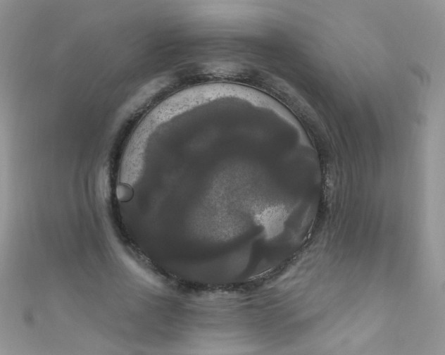 X0000111020734200907022158