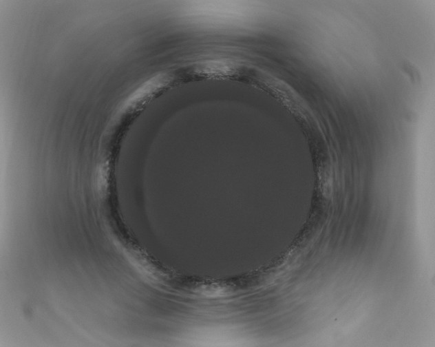 X0000111020735200907022158