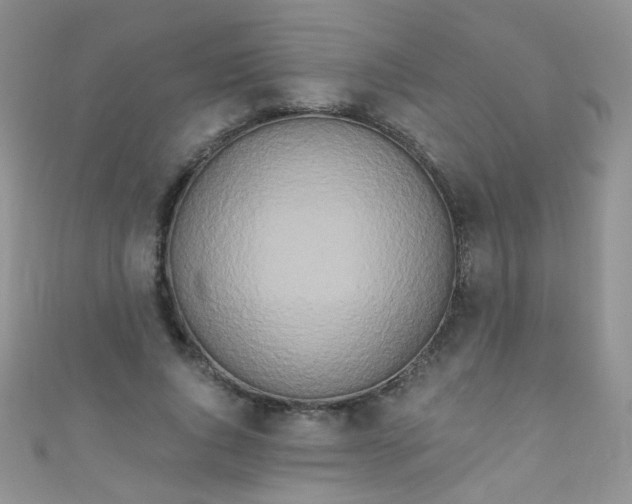 X0000111020736200907022158