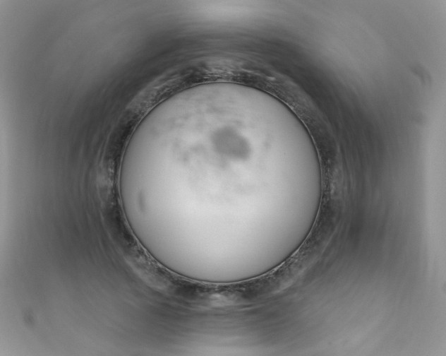 X0000111020737200907022158