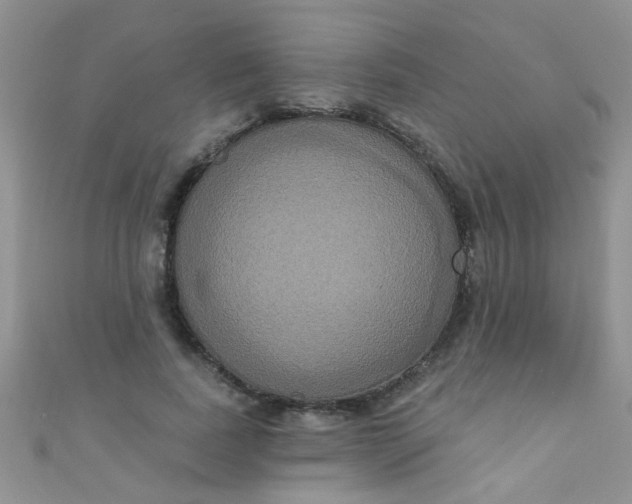 X0000111020739200907022158