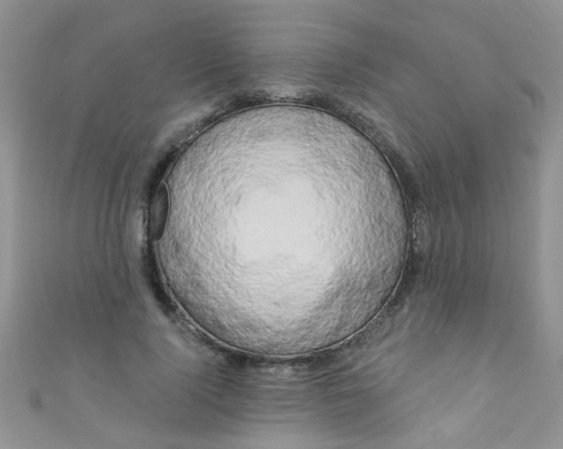 X0000111020740200907022158