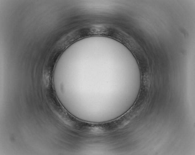 X0000111020741200907022158