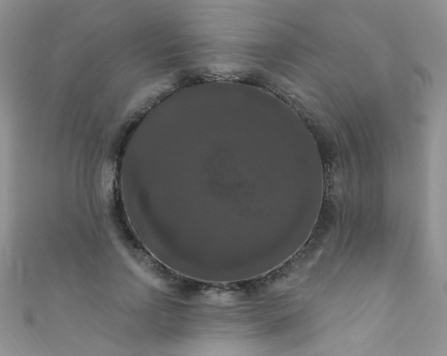 X0000111020742200907022158