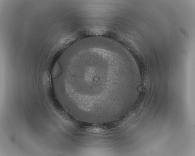 X0000111020743200907022158