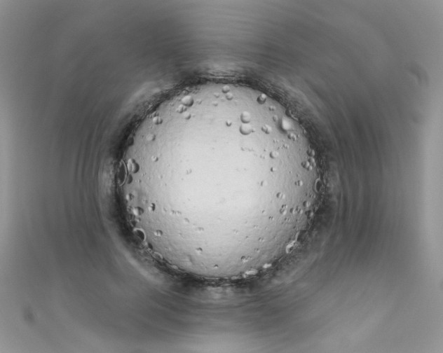 X0000111020744200907022158