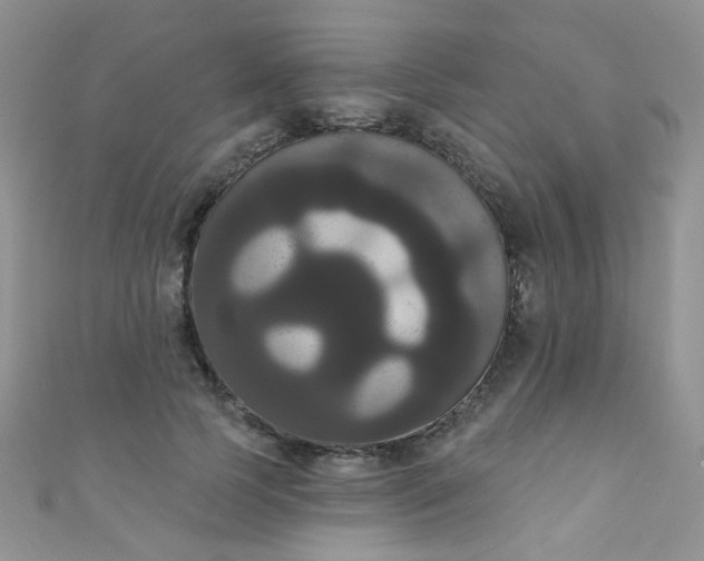 X0000111020745200907022158