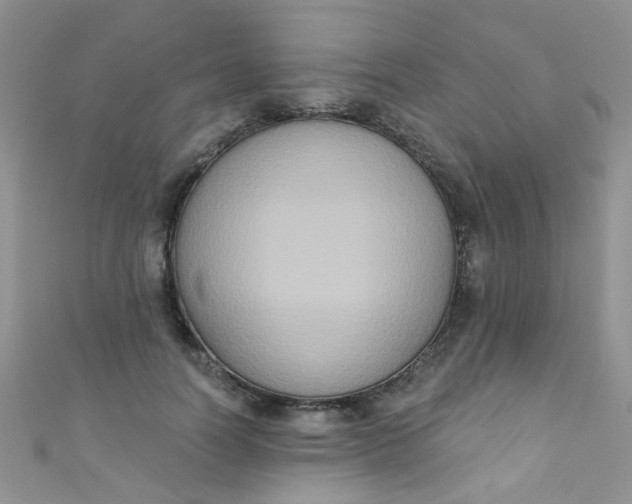 X0000111020746200907022158