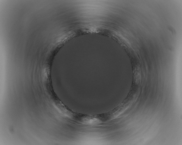 X0000111020747200907022158