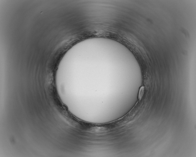 X0000111020748200907022158