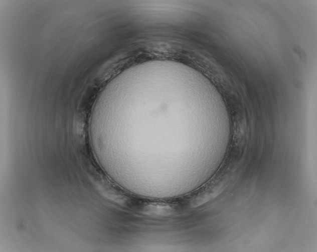 X0000111020749200907022158
