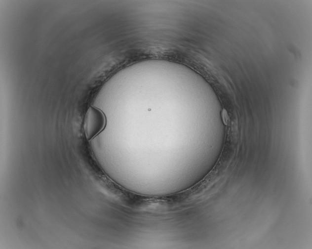 X0000111020750200907022158