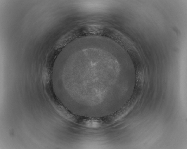 X0000111020751200907022158