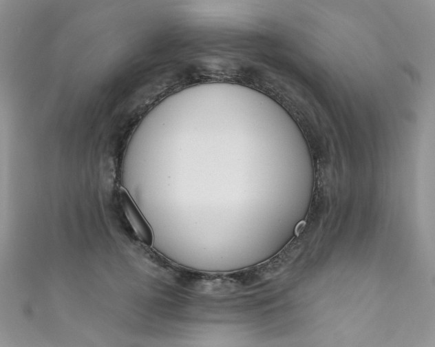X0000111020752200907022158