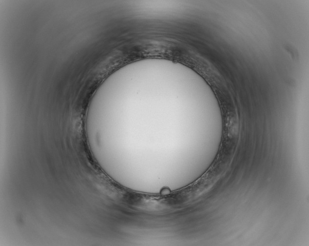 X0000111020753200907022158