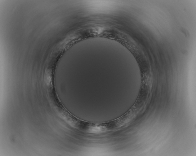 X0000111020754200907022158