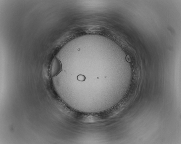 X0000111020755200907022158