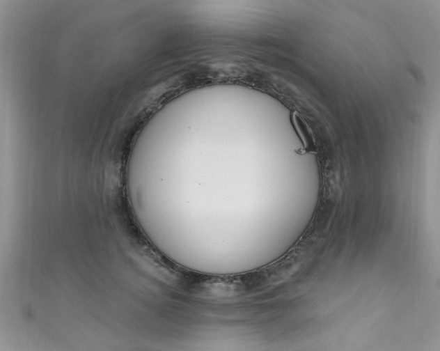 X0000111020756200907022158