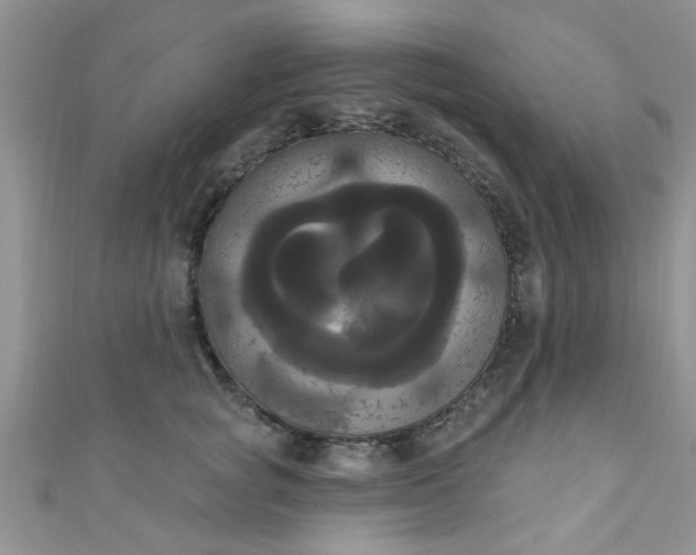 X0000111020757200907022158