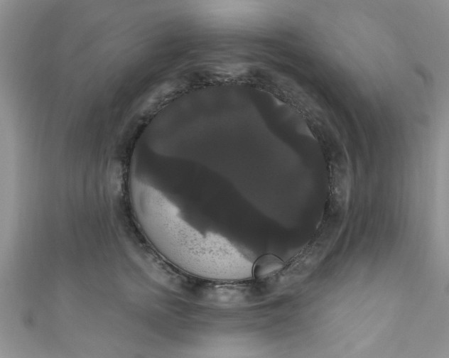 X0000111020758200907022158