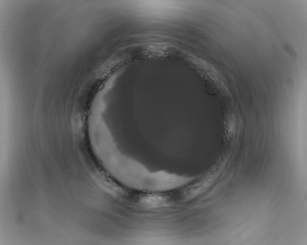X0000111020759200907022158