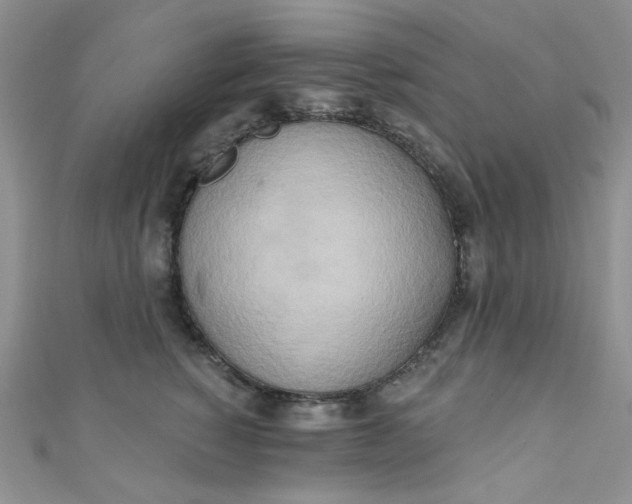 X0000111020760200907022158