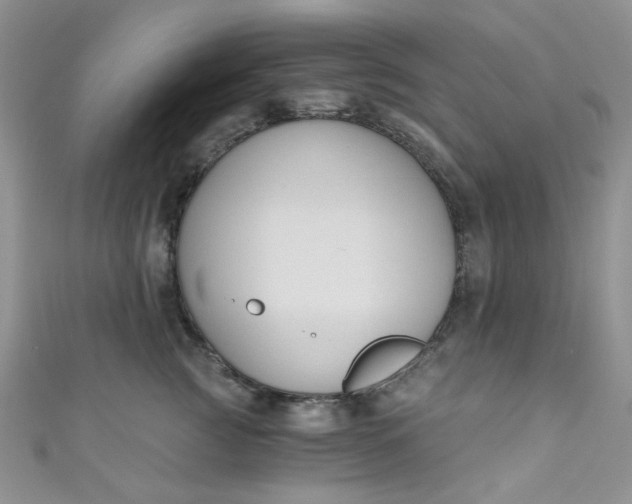 X0000111020761200907022158