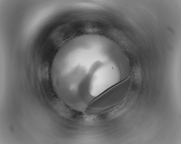 X0000111020762200907022158